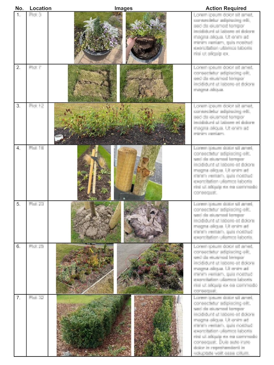 Adoption and handover